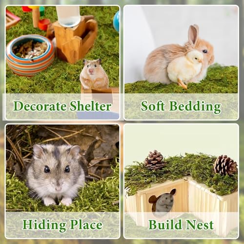 Halatool 25QT Hamster Moss for Bedding Nesting Hideout, Soft & Safe, 1.1LB | Odor Control, Forest Moss for Rabbits Squirrels Guinea Pigs, Small Animals Cages, Terrariums, Reptiles, Plants - size: 1.1lb/25qt