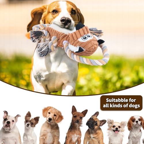 Squeaky Dog Toys Interactive Durable Rope-Infused Lion Shape Puppy Chew Toys for Small, Medium and Big Dogs - style: Lion Shape