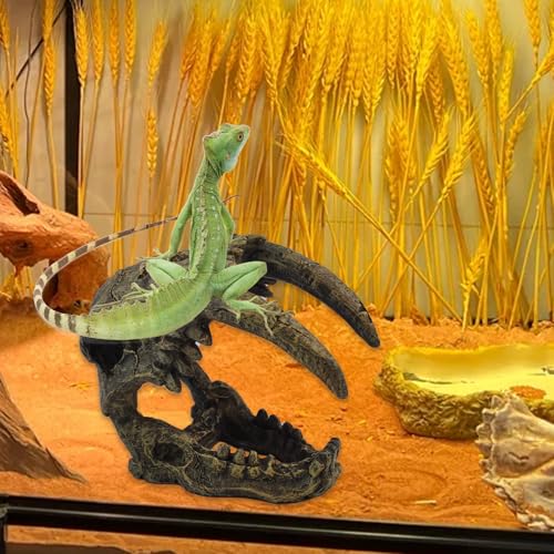 PINVNBY Reptile Resin Dinosaur Skull Decor,Crested Gecko Tank Accessories Hide Artificial Sabertooth Tiger Skull Skeleton Climbing Hideout Cave Landscape Decorations