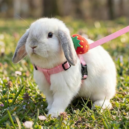 4 Sets Adjustable Bunny Rabbit Harness and Leash Set Small Pet Cute Vest Harness Leash with Decoration for Bunny Ferret Small Pets(Designs: Rabbit/Carrot/Duck/Strawberry)