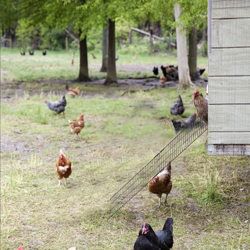 2 PCS Chicken Coop Ramp with Cable Ties, Black Adjustable Length (16.5-29.5 Inch) Iron Wire Ladder for Coop Henhouse Leg Problem or Cannot Fly Chickens, Waterproof
