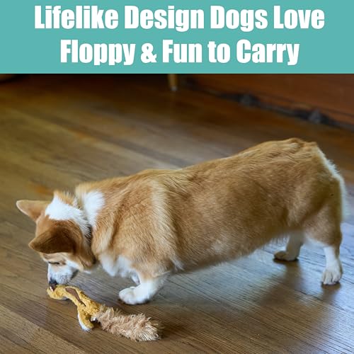 SPOT Skinneeez Flying Squirrel 14 Inch Stuffing-Free Plush Squeaky Dog Toy – Soft Tug-of-War Toy for Small and Medium Dogs – Mess-Free Interactive Chew Toy for Moderate Chewers - style: Mini Flying Squirrel