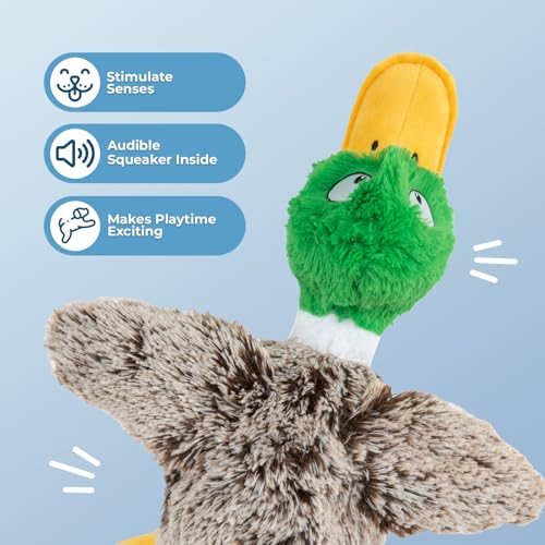 Best Pet Supplies Interactive Squeaky Dog Chew Toy, Ideal Dog Toys for Chewers, Small, Medium & Large Dogs, and Fetch Lovers - Mallard Duck (Gray), Small - color: Mallard Duck (Gray), size: Small