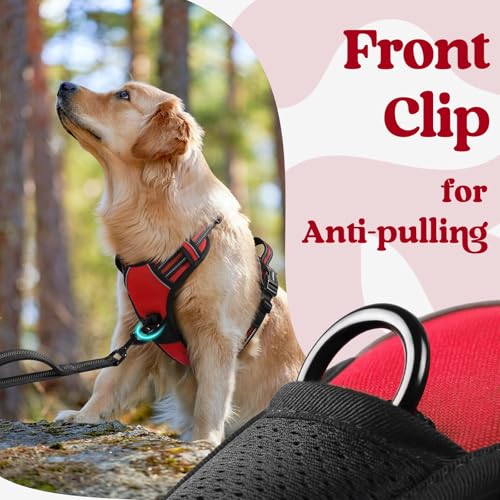 rabbitgoo Dog Harness Small Sized, Updated Easy On & Off with 3 Buckles | No Pull No Choke, Walking with 2 Clips and Handle, Adjustable Soft Reflective, Red, Small - color: Red, size: Small