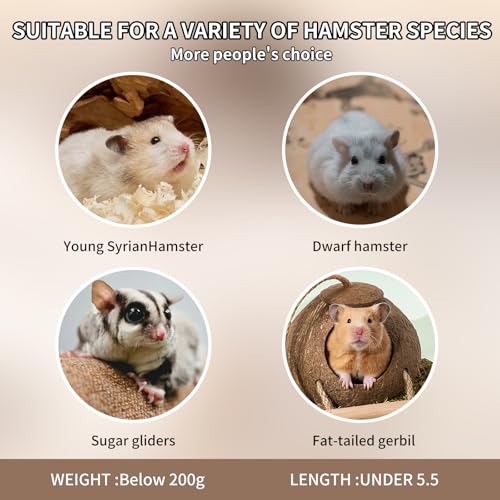 Bear-Shaped Hamster Hideout & Food Bowl Set - Ceramic Habitat for Syrian Dwarf Hamsters, Mice, Gerbils - All-Season Use, Chew-Proof Ceramic House and Feeding Dish for Small Pets(Blue)