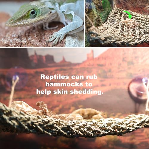 Bearded Dragon Hammock Lizard Tank Accessories Reptile Lounger Amphibian Habitat Décor for Chameleon, Geckos, Snakes, Hermit Crab, Lguana Reptiles, Tortoises - size: 17"T+7"