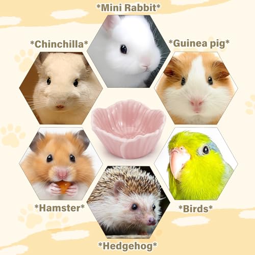 Small Ceramic Pet Hamster Bowl, Easy to Clean Anti Flipping Hamsters Food and Water Bowl, Small Animal Bowls for Dwarf Hamster, Parrots (Yellow, s) - color: Yellow, size: s,1pc