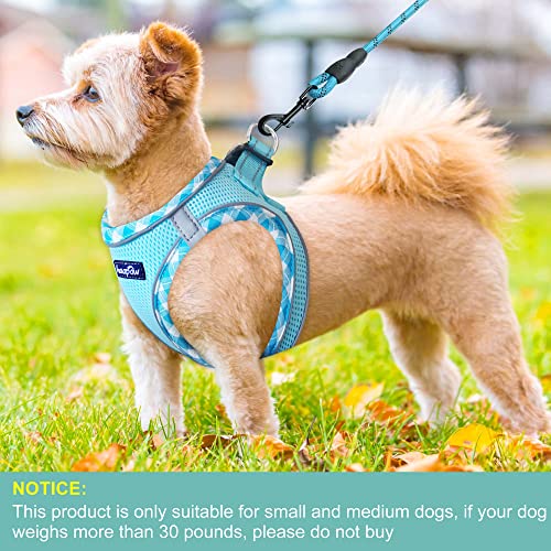 haapaw Dog Harness with Leash Set, No Pull Adjustable Reflective Step-in Puppy Harness with Thickened Padded Vest for Extra-Small/Small Medium Dogs - color: Turquoise, size: XS