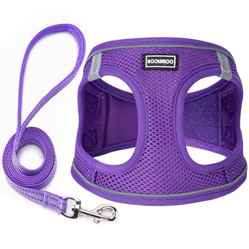 Dog Harness with Leash Set, Step-in Adjustable Puppy Pet Vest, Purple XXS | Lightweight Breathable Air Mesh, Night Safety Reflective, No Pull Puppy Vest Harnesses for Small Medium Large Dogs, Cats - color: Purple, size: XXS(Chest:10"-12")