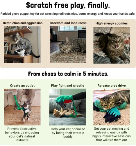 Milunova Pupr Pals Cat Wrestling Glove (Catnip Infused) Hand Puppet Toy with Tough Padding for Safe Interactive Play, Protection to Stop Kitten Scratching Hands; for Boredom-Busting Exercise - style: Quetzal + Catnip