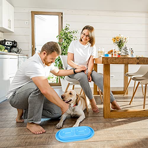 2 Pieces Cat Food Basic Dog Bowls 35oz Plastic Double Pet Food Water Bowls Feeding Bowl Tray Cat Eating and Drinking No Spill for Dogs Pets, Pink and Light Blue - size: 35oz