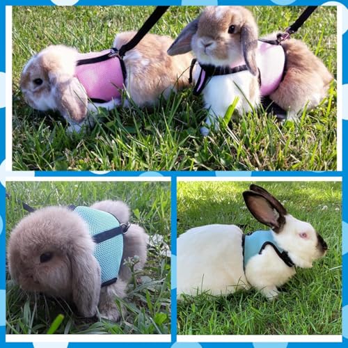 Blue Bunny Harness and Leash Set Ferret Harness Rabbit Vest, M | Quick-release, Breathable, Escape Proof, Suit For 2-3months Young Rabbit, 2-4months Ferret, 3-5months Guinea Pig - color: Blue, size: M