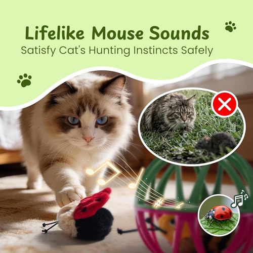 Cat Toys for Indoor Cats - Interactive Ball Cage Cat Toy with Realistic Insect Sounds & 2 Catnip Plush Toys, Motion-Activated Hunting Simulation Toy for Cats - color: Black