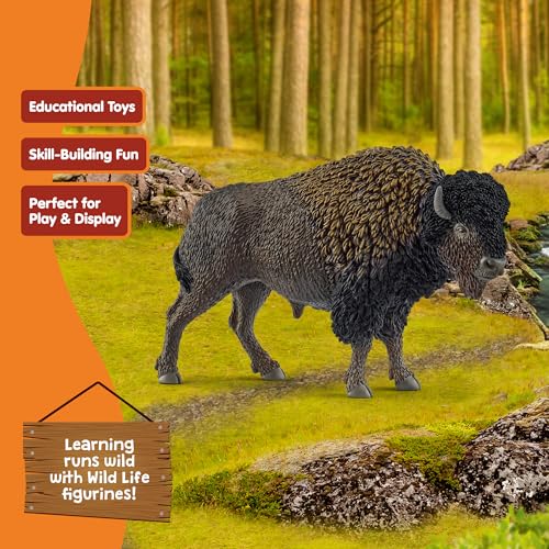 Schleich Wild Life - 5” North American Bison Figure - Realistic Buffalo Toy with Shaggy Coat and Bull Horns - Durable Animal Figurine for Screen-Free Play for Boys and Girls - Kids Ages 3+ | 14879