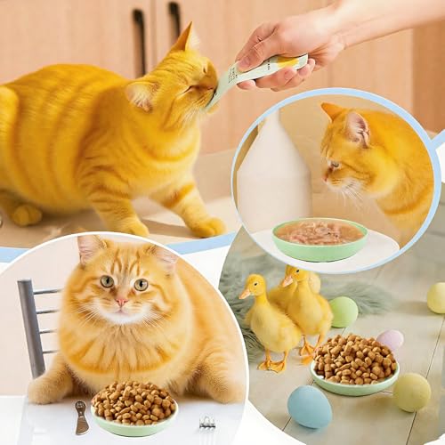 Cat Food Bowls 4pk 5.7in Wide Shallow Whisker Fatigue Relief Pet Dishes | 5.7in wide shallow cat bowls 4pk, relieve whisker fatigue, dishwasher safe for cats small dogs - color: Green