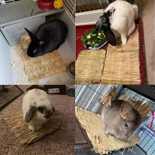 kathson 18 PCS Bunny Grass Mat,Rabbit Natural Straw Woven Bed,Small Animal Hay Nest Sleeping Mat &Chew Toys for Hamster Bunny Chinchilla Guinea Pig Mouse Bird and Other Small Animal - size: 18 pcs