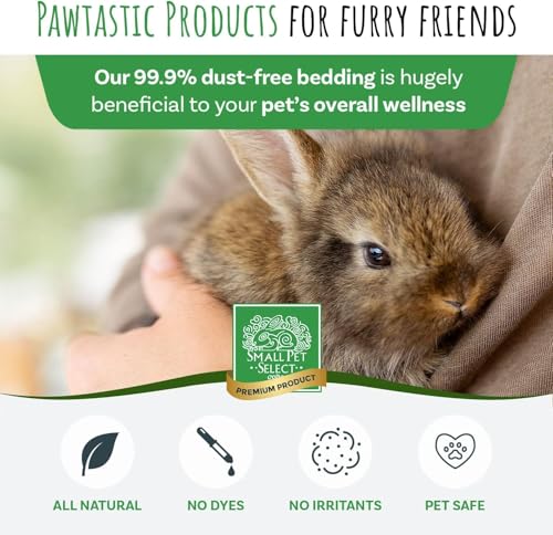 Small Pet Select White Paper Bedding, Guinea Pig, Odor Control, 56 L | Soft Absorbent Natural Bedding, Made in USA, For Rabbits, Hamsters, Bunnies, Chinchillas & Small Pets - size: 56L