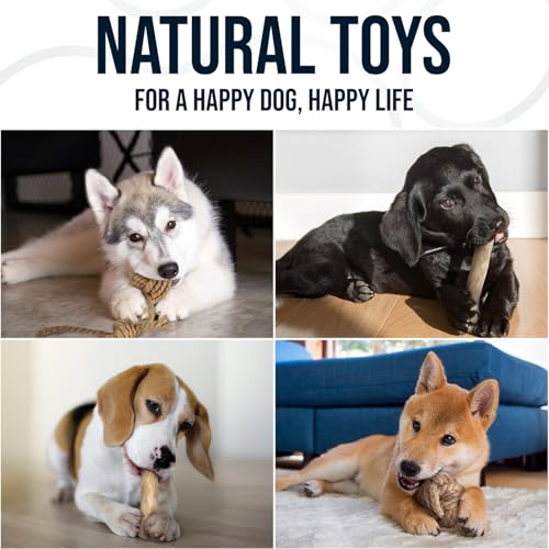 4Pcs Coffee Wood Chew Stick & Hemp Dog Ball Toy for Small & Medium Dog 25-50lbs, 100% Natural, Teething Chewing Interactive to Keep Them Busy, Wood Chew Toy for Birthday