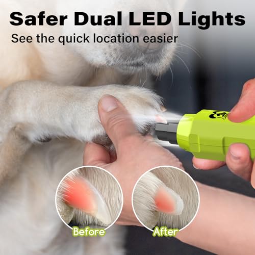 Casfuy 6-Speed Dog Nail Grinder - Newest Enhanced Pet Nail Grinder Super Quiet Rechargeable Electric Dog Nail Trimmer Painless Paws Grooming & Smoothing Tool for Large Medium Small Dogs (Green) - color: Green