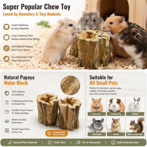 Natural Dried Papaya Block Chew Toys, 8 Pcs Organic Papaya Stump Molar Treats, Healthy Teeth Grinding Chews for Rabbits, Guinea Pigs, Chinchillas, Hamsters, Small Animal Foraging Snack