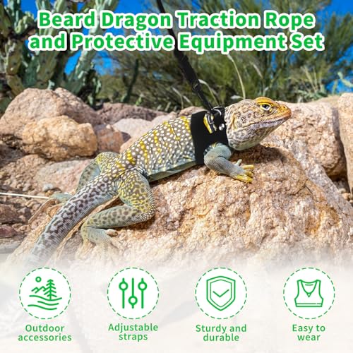 3Size Black Bearded Dragon Leash and Harness Set with Lizard Traction Rope | for Reptile, lizard leash/ squirrel harness/ Small Rabbit traction rope (S, M, L)