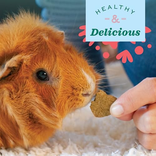 Oxbow Simple Rewards Guinea Pig & Rabbit Treats, Bell Pepper, Baked, 3 oz | Timothy Hay, Bunny Treats, Hamster Treats, Chinchilla, Guinea Pig Snack, Rabbit Enrichment, Rabbit Accessories, Essentials - size: 3 Ounce (Pack of 1)
