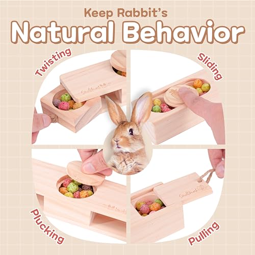 SoulThink® Advanced Interactive Wooden Pet Rabbit Toys - Sniff n' Snack Bunny Chew Toys for Rabbit Treats, Suited for Chinchilla Foraging, Guinea Pigs Boredom, and Hamster Enrichment (2 Set) - style: Sniff n' Snack - Advanced