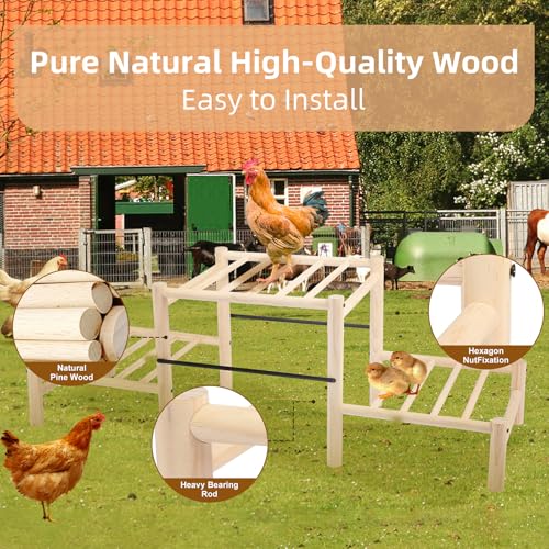 Chicken Perch, Natural Beech Wood Roosting Ladder for Poultry | Chick Perch for Strong Wooden Roosting Bar, for Poultry, Jungle Gym & Toys