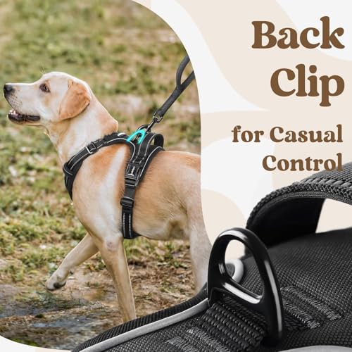 rabbitgoo Dog Harness Small Sized, Updated Easy On & Off with 3 Buckles | No Pull No Choke, Walking with 2 Clips and Handle, Adjustable Soft Reflective, Black, Small - color: Black, size: Small