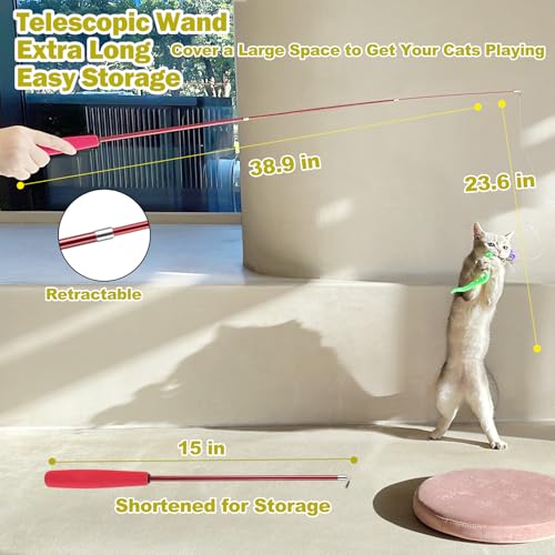 MeoHui Cat Toys for Indoor Cats, Interactive Cat Toy 2PCS Retractable Wand Toy and 9PCS Cat Feather Toys Refills, Funny Kitten Toys Cat Fishing Pole Toy for Bored Indoor Cats Chase and Exercise