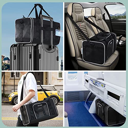 Small Pet Carrier 18" L x 11" W x 11" H Airline Approved, Black | for Delta/American/United Airlines, Lockable Safety Zippers and Anti-Scratch Mesh, Pets Under 10 lbs - color: Black, size: 18.0"L x 11.0"W x 11.0"H