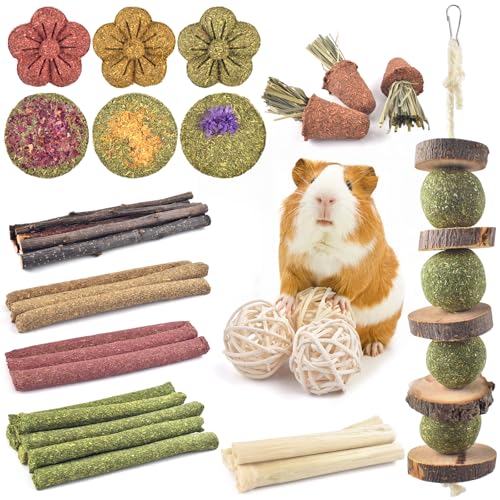 ERKOON 42PCS Rabbit Chew Toys, Natural Timothy Grass Cakes Guinea Pig Toys, Small Animal Teeth Grinding Treats for Bunny Hamster Chinchilla, Safe Dental Care Snacks - size: 42