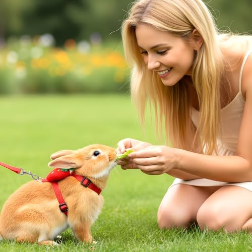 2PCS Bunny Harness and Leash Guinea Pig Leash Rabbit Bunny Leash | Kitten Harness and Leash Set for Guinea Pig Ferret Cat Puppy Duck Small Pets Outdoor Walking - style: A