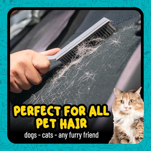 Chemical Guys, Multi-Surface Pet Hair Removal Brush for Upholstery & Carpet | Rubber bristles pull pet hair, lint and debris off seats, carpet and upholstery in cars and at home - size: (Pack of 1)