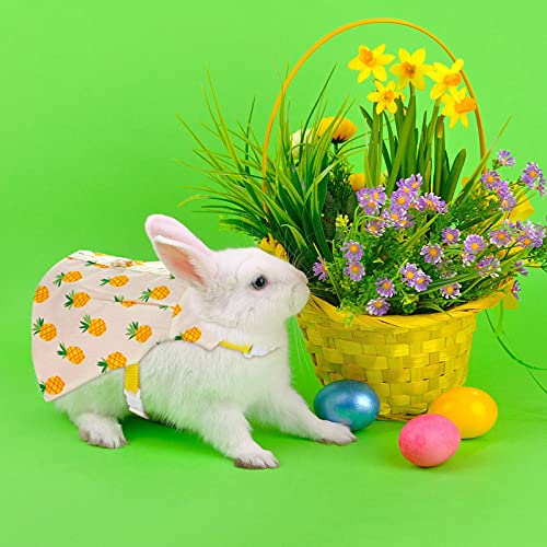 Weewooday 3 Sets Rabbit Bunny Harness and Leash Gift, Cute Bunny Clothes for Rabbits Dress Costume Walking Harness Escape Proof Pet Supply for Hedgehog Ferret Squirrel(Peach, Pineapple, Strawberry)
