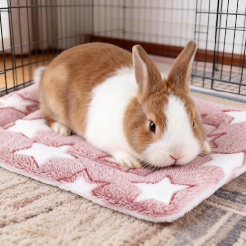 Guinea Pig Bed, 2 Pack (12x10 Inch) Soft Plush Small Animal Bed Mat, Washable Bedding Blanket Sleeping Warm Pad for Bunny, Rat, Ferret, Chinchilla - color: Light Red