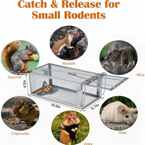 Humane Rat Trap, Chipmunk Rodent Trap that Work for Indoor and Outdoor Small Animal - Mouse Voles Hamsters Live Cage Catch and Release 1 Pack