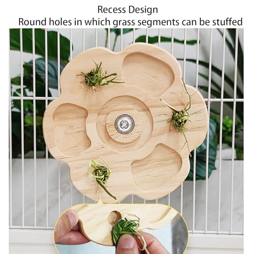 Chinchilla Chew Toys - Natural Wood Rotating Cage Accessories for Teeth Grinding | Interactive Hanging Exercise Toy with Safe Chew Design | Chinchilla Cage Toys for Playtime & Dental Health - color: Snow