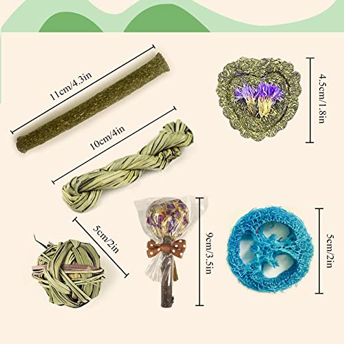 Rabbit Chew Toys for Teeth, 16PCS Natural Timothy Hay Chew Toy, Improve Dental Health for Bunny/Chinchilla/Guinea Pig/Hamsters/Holland Lop, Small Rodent Pet Molar Teeth Treats Toys - size: 16 PCS