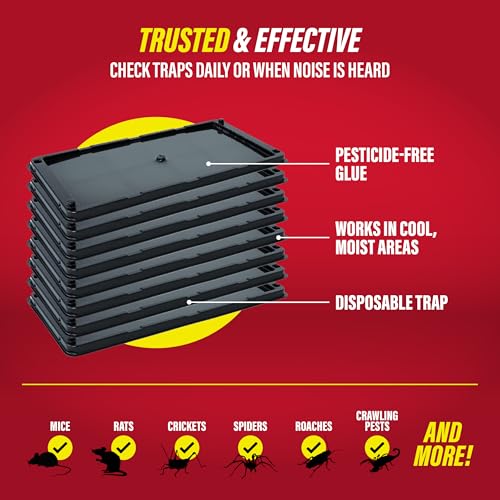 Catchmaster Rat, Snake and Mouse Traps 8Pk, Large Bulk Glue Rat Traps for Home, Adhesive Plastic Tray for Inside House, Snake, Mice, & Spider Catcher, Pest Control for House & Garage - size: 8 Pack, style: 8 Regular