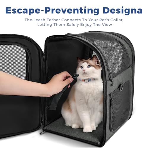 Apollo Walker Cat Carrier Backpack for Small Dogs and Cats Up to 18 lb | Side Pockets, Four-Sided Breathable Mesh, Stability Package, Removable Pad,3D back panel,Thickened shoulder straps - color: gray