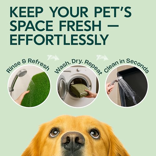 Dog Grass Pad with Tray 23”x35” – Artificial Pet Grass Patch for Dogs’ Potty with 2 Pcs of Washable Pee Pads & Puppy Potty Tray – Dog Litter Box Indoor & Outdoor for Puppy Training - color: 2 Pee Pads + Grass Patch + Tray