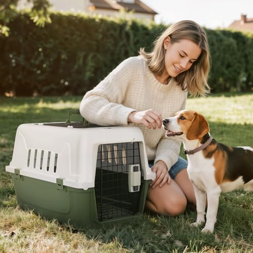 Magshion 22 Inch Hard-Sided Dog Cat Carrier, Green | Top and Front Door Access, Plastic Dog Kennel for Longer Traveling, Durable Handle and 4 Sides Ventilation, For Pet Up 26 lbs - size: 22.0"L x 14.5"W x 15.0"H