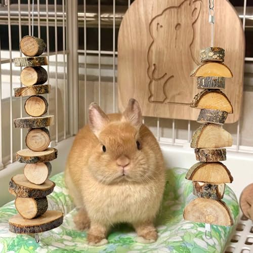 4 Pack Small Animal Chew Toys, Natural Apple Wood Sticks Hanging Chew String for Hamsters, Rabbits, Chinchillas, Guinea Pigs - Dental Molar Treats & Cage Accessories