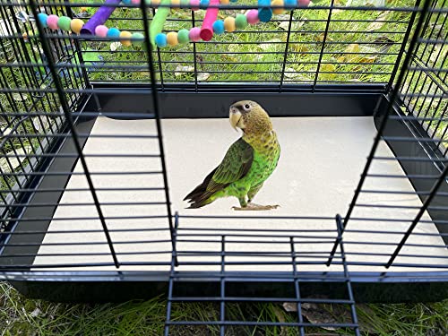 Gravel Paper for Bird Cage,BirdCage Liner Papers Cuttable Gravel Liner Sea Sand Paper Pet Animal Cages Cushion Great for Hard-Billed Birds Parrot | Clean Safe & Aids in Digestion (20 PCS - 17" x 11") - size: 20 PCS - 17" x 11"