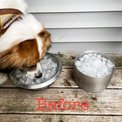 2L Double Layers 304 Stainless Steel Dog Bowl - Insulated & Durable | Non-Slip Base | Easy to Clean | BPA-Free Safe Dog Food and Water Bowl - color: 2L
