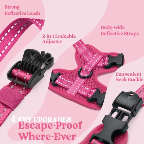 rabbitgoo Cat Harness and Leash Set, Easy-on with Neck Buckle, Rose Red | Escape Proof, No Over-the-head, Soft Air Mesh, 3 Lockable Adjusters & Buckles, Reflective, for Kittens & Small Cats Walks, Xs - color: Rose Red, size: Xs