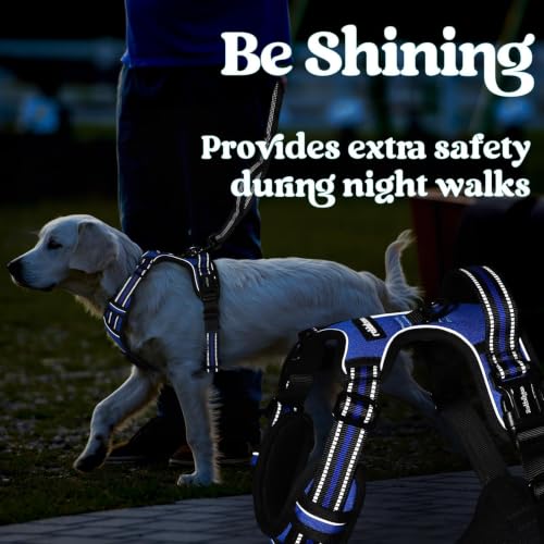 rabbitgoo Dog Harness Medium Sized, Updated Easy On & Off with 3 Buckles | No Pull No Choke, Walking with 2 Clips and Handle, Adjustable Soft Reflective, Blue, Medium - color: Blue, size: Medium