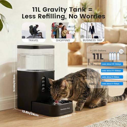 Gardner Pet 2.9 Gallon Automatic Dog Water Bowl Dispenser 11L Gravity Water Feeder with Stainless Steel Bowl & Maifan Stone Filter, BPA-Free for for Cats and Dogs (Black, 2.9 Gallon) - color: Black, size: 2.9 Gallon