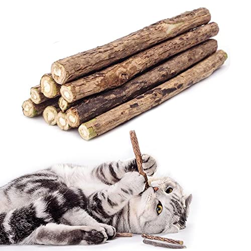 WoLover 20 PCS Matatabi Sticks, Silvervine Chew Toys for Cats | Natural Catnip Sticks, Cleaning Teeth Molar Chew Toy for Cat Kitten Kitty Dental Care - size: 20 PCS
